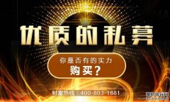 �����Ĺ�ȨͶ����Ŀ�ʺ�Ͷ�ʣ�