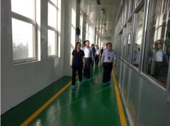 �������Ųι���ݰ�ٻ���ׯ԰�ιۿ���