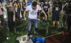 ղķ˹��Ӧ�������¼����ᶨ��������ҡ���й������Ƿ׷׵���