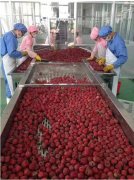 ����ׯ԰ע�ز�Ʒ�������ž�һ�а�ȫ����