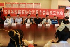 四川盐源县:收藏家协会举行文物保护普法宣传活动