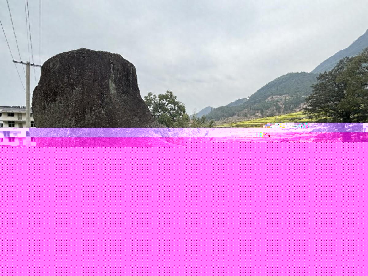 ģȻʯЬ