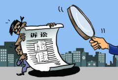 内蒙古兴安盟一起民间借贷纠纷案被指虚假诉讼